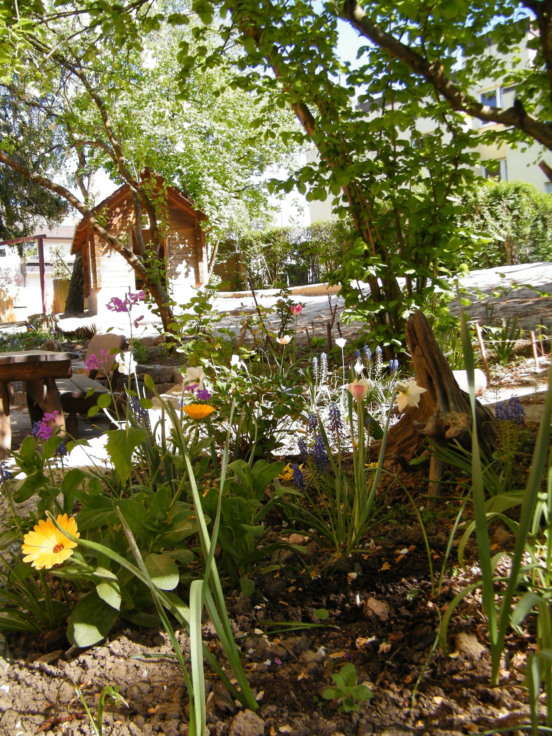 GT-Modul Gruppe (GTM) | Waldorfkindergarten